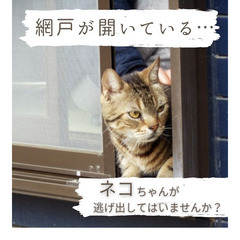 新品！　猫の脱出防止、網戸ストッパー3個セットの画像