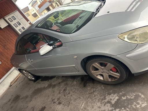 Peugeot307