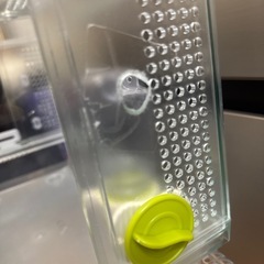 グラスハーモニー　2個の画像