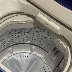 5.0kg 縦型洗濯機 YAMADA SELECT YWM-T50G1の画像