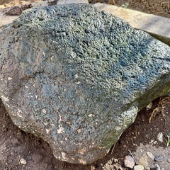 庭石　青石　庭の模様替えのため写真の「庭石」を無料で差し上げますの画像