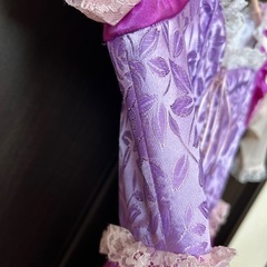 ビビディバビディブティック ラプンツェル    ドレスの画像