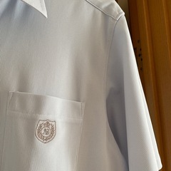 【超美品】札幌英藍高校の男子制服　シャツ　すべてLの画像