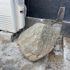 庭石の画像
