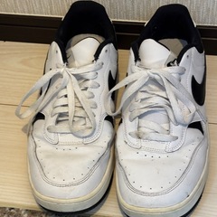 ナイキ　ガンマフォース 28cm
の画像