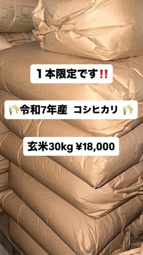 ?令和7年産 京都産コシヒカリ 玄米30kg ‼️1本限定