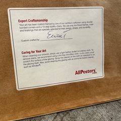 絵画 アンリ マティス Les velours(Silkscreen) 額入りの画像