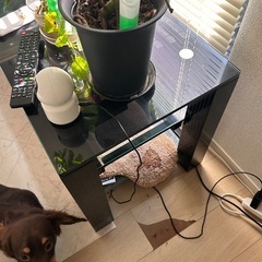 テレビ台　テレビ別の画像