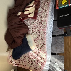 (Rasik)ベッドフレーム+マットレスの画像