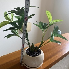 フェイクグリーン　まとめて　　の画像