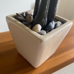 フェイクグリーン　まとめて　　の画像