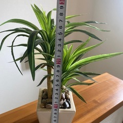 フェイクグリーン　まとめて　　の画像