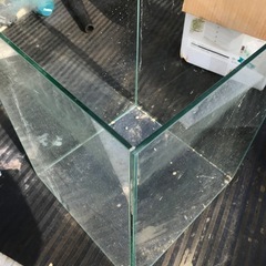 30センチキューブガラス水槽の画像