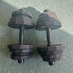 ダンベル2つの画像