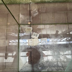 テトラ製　60cm水槽　問題なく使用可能です。の画像