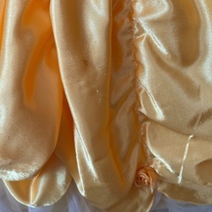 ビビディバビディブティック 
美女と野獣 ドレスの画像