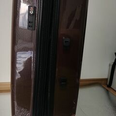 40×25×65ダンロップスーツケースの画像