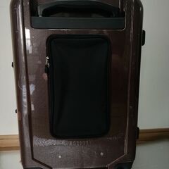 40×25×65ダンロップスーツケースの画像