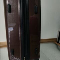 40×25×65ダンロップスーツケースの画像