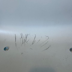 年末12/20処分セール　Ⓜ️商品　【土日対応】　中古品　デスクチェア　傷あり　現状渡しの画像