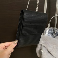 【無料】小さいショルダーバッグ2点の画像