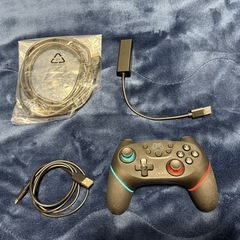 Nintendo Switch あつまれ　どうぶつの森セットの画像