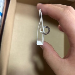 ノンホールピアスの画像