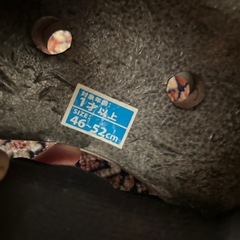 bikke子供用ヘルメットの画像