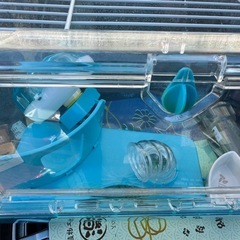 ハムスターゲージ‼️中古の画像