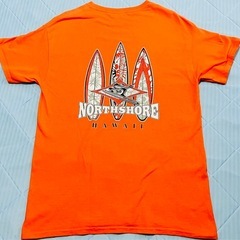 ギルダンのNORTHSHORE (ノースショア)のヴィンテージ ハワイアンTシャツの画像