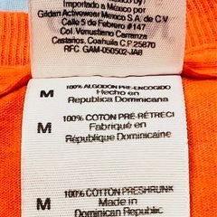 ギルダンのNORTHSHORE (ノースショア)のヴィンテージ ハワイアンTシャツの画像