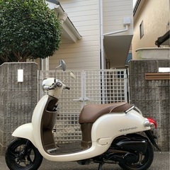 乗車して帰れます　ホンダ製品　ジョルノ　AF70型式　家内が利用しておりましたが電動アシスト自転車に乗り換える為、必要な方へお譲りさせてくださいの画像