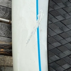 サーフボードショートの画像