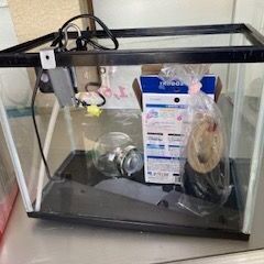 ID:154482　水槽３０ｃｍの画像