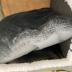 ペットのお家の画像