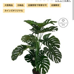 【カインズ】フェイクグリーン　人工観葉植物　モンステラ　120cmの画像
