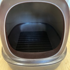 無料  大きめサイズの🐱トイレの画像