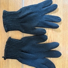 フクロモモンガの爪切りセットの画像