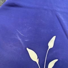 名古屋帯 売れました
の画像