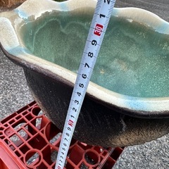 メダカの鉢　金魚　水草の画像