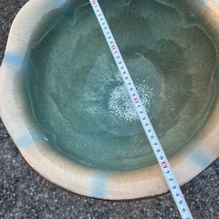 メダカの鉢　金魚　水草の画像