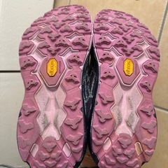 HOKA SPEED GOAT 5の画像