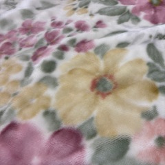 大阪西川の毛布　140×200の画像