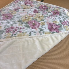 大阪西川の毛布　140×200の画像
