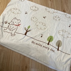 【商談中】タオルケット⭐︎掛け布団　シングルの画像