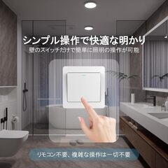 小型シーリングライトの画像