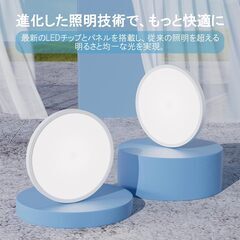 小型シーリングライトの画像