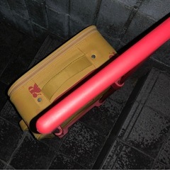 キャリーバッグの画像