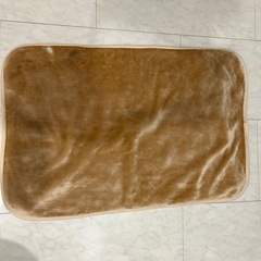 💚中古品　ペット用ブランケット　厚手　一部分何あり画像3枚目の画像