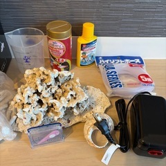 海水魚用品の画像